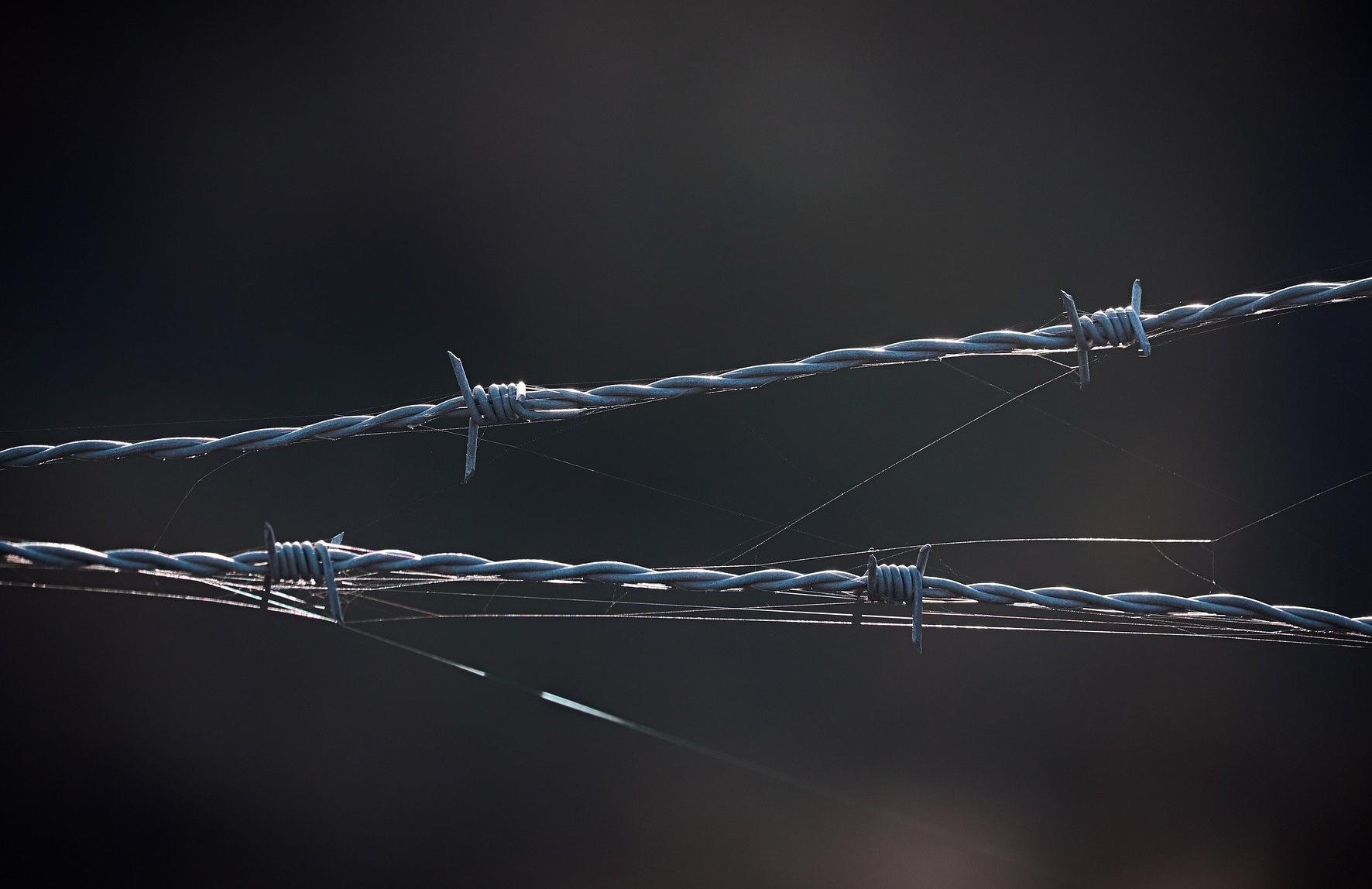 Hayır Diyebilmenin Psikolojik Dinamikleri ve Atılganlık